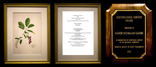 Distinguished Service Award ASPT 2010